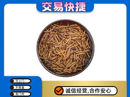 三亚市海棠高价回收散虫草