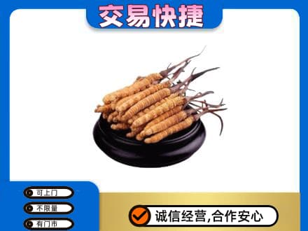 三亚市海棠回收冬虫夏草多少钱每克